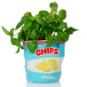 Vase Chips Ceramic Bag signé Bitten - En pot, en vide poche ou pour accueillir une plante, ce sac de chips croustille !