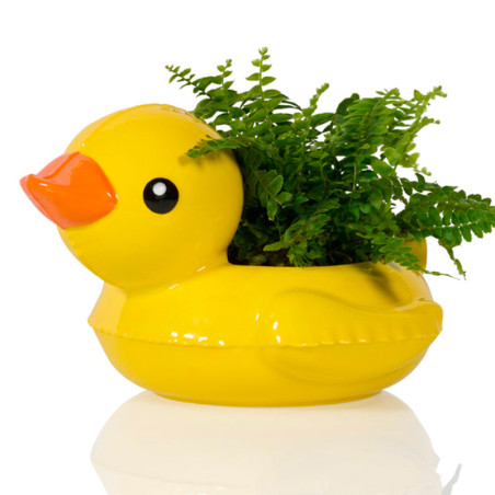 loaty Pot Duck by Bitten - Le canard et son bec orange pour vos fleurs ou vos bonbons ! Mignon ce canard ...