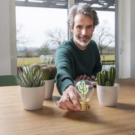 Ampoule Bulb Fiction Legami CLB00 – lumière douce, décoration originale et design créatif qui illuminent chaque intérieur