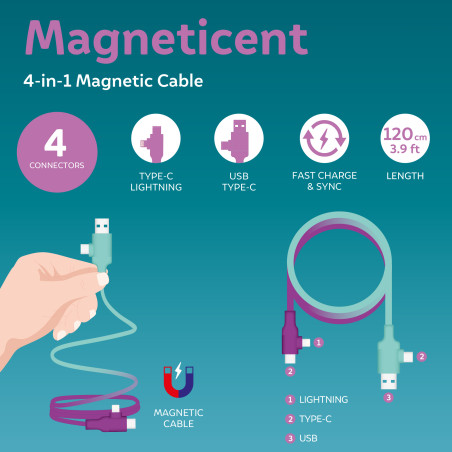 Cable Recharge Magnétique 4 en 1 Legami – recharge universelle, et design élégant pour tous vos appareils au quotidien.
