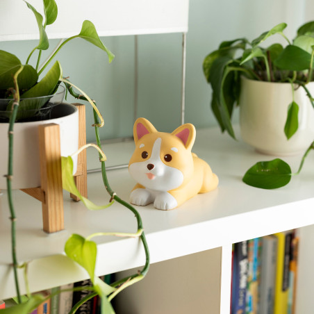Anti-Stress Corgi Squeezies Legami - Texture moelleuse, effet relaxant et design décalé pour décompresser