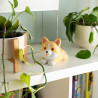 Anti-Stress Corgi Squeezies Legami - Texture moelleuse, effet relaxant et design décalé pour décompresser