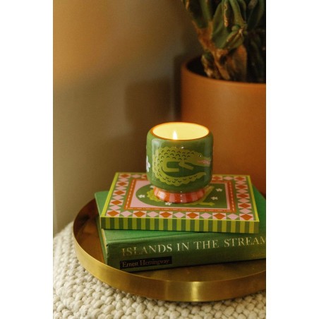 Bougie A Dopo Prickly Pear Paddywax avec motif crocodile et pot en céramique colorée.