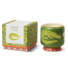 Bougie A Dopo Prickly Pear Paddywax avec motif crocodile et pot en céramique colorée.