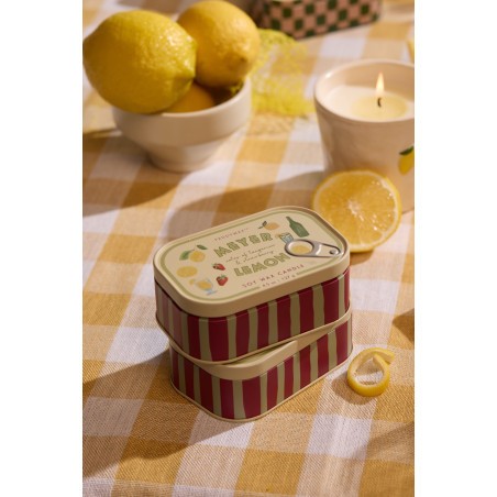 Bougie Bistrot Paddywax Meyer Lemon 8oz /125 g au parfum citron