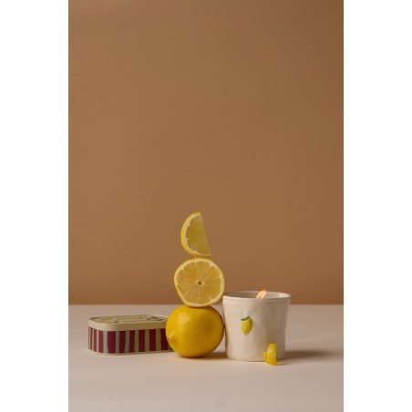 Bougie Bistrot Paddywax Meyer Lemon 8oz /125 g au parfum citron