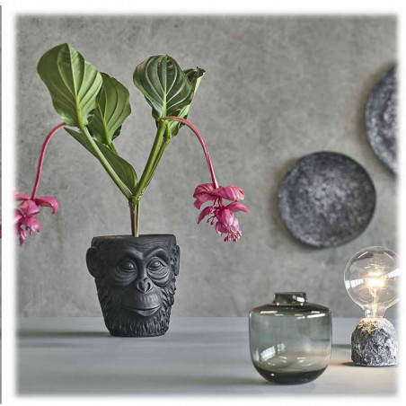 Vase Gorilla | Villa Collection