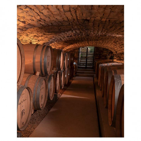 Jean Baptiste Jessiaume | Vin de Bourgogne
