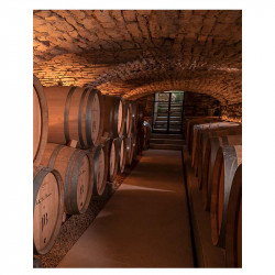 Jean Baptiste Jessiaume | Vins de Bourgogne