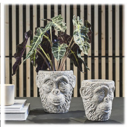 Vase  Gorilla Grey | Villa Collection