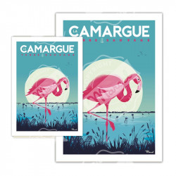 Cartes Postales Marcel | Camargue Flamingo