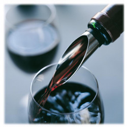 Bouchon Bec Verseur Décanteur Rosendahl | Cadeau Vin