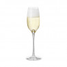 Holmegaard Fontaine | Verre à Champagne