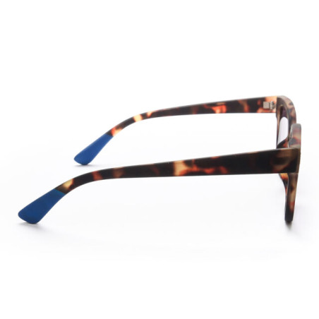 SUNGLASS OKKIA GIOVANNI HAVANA