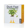 Bitten Design Duck Feet Planter