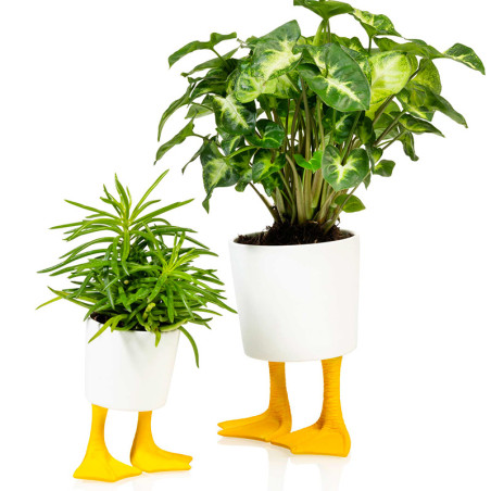 Duck Feet Planter Bitten Design